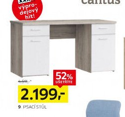 Psací stůl (9)