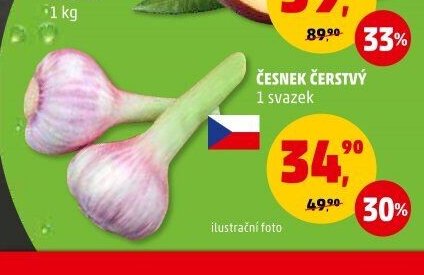 Česnek čerstvý