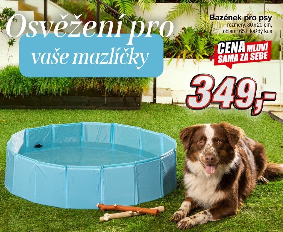 Bazének pro psy