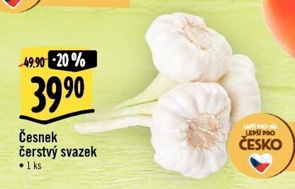 Česnek čerstvý svazek