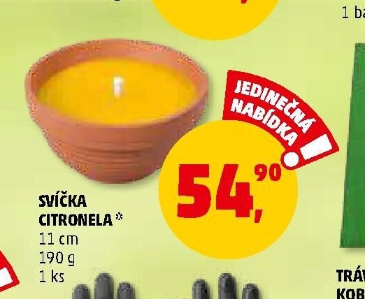 Svíčka citronela
