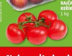 RAJČATA KEŘÍKOVÁ