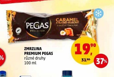 Zmrzlina Premium Pegas různé druhy 100 ml