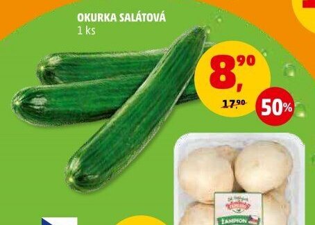 Okurka salátová 1 ks
