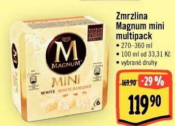 Nanuk Magnum Mini Algida