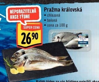 Pražma královská Albert