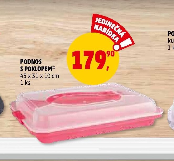 PODNOS S POKLOPEM 45 x 31 x 10 cm