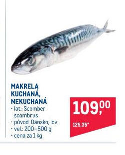 MAKRELA KUCHANÁ, NEKUCHANÁ