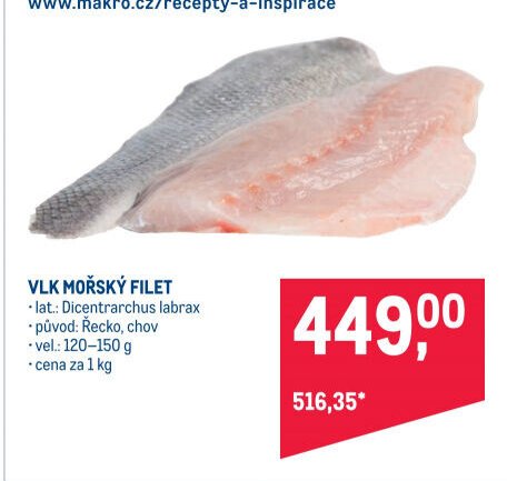 VLK MOŘSKÝ FILET