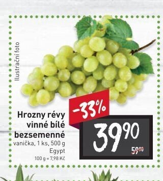 Hrozny révy vinné bílé bezsemenné