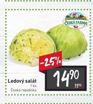 Ledový salát