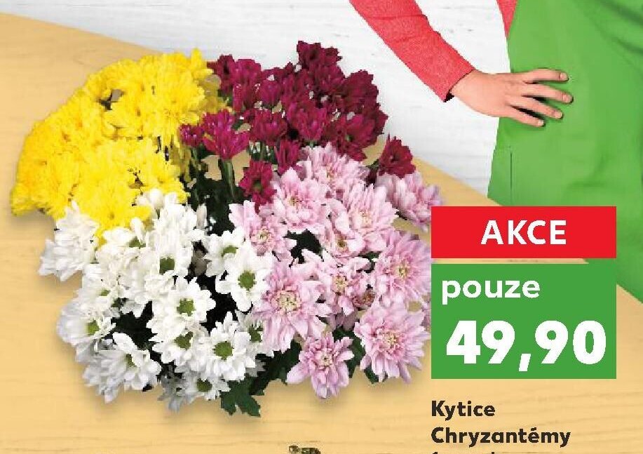 Kytice Chryzantémy