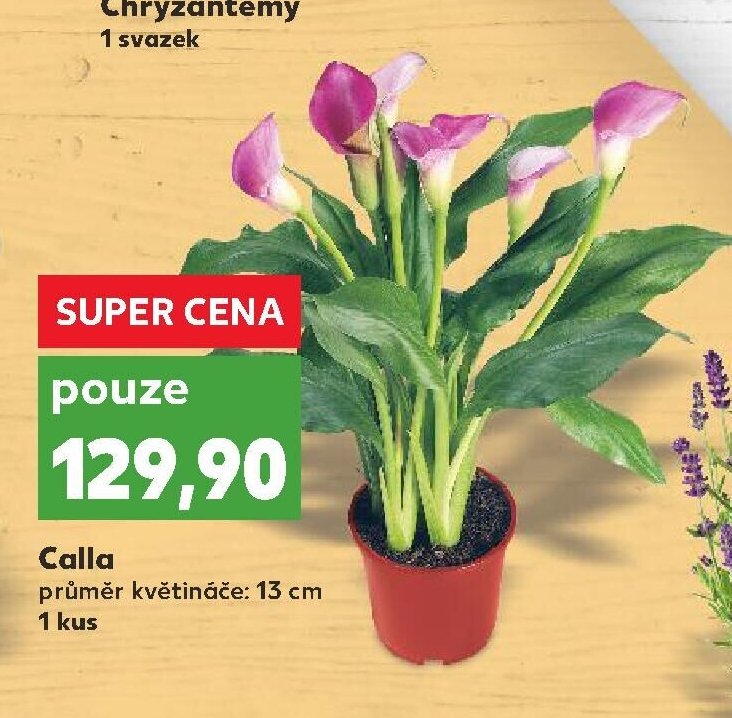 Calla