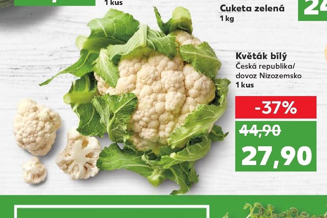 Květák bílý