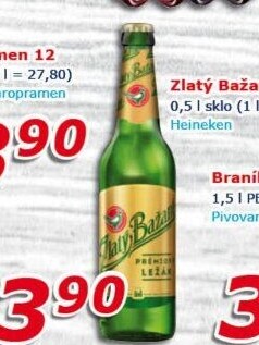 Pivo světlý ležák 12° Zlatý Bažant