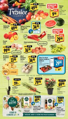 akční leták Albert 13.7.2022-19.7.2022