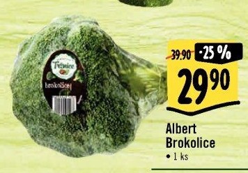 Brokolice Albert