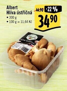 Hlíva ústřičná Albert