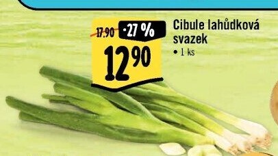 Jarní cibule svazek