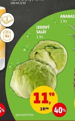 Ledový salát