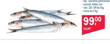 SARDINKA OBECNÁ