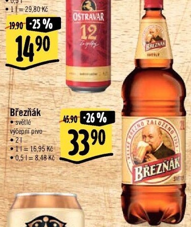 Pivo světlé výčepní 10° Březňák