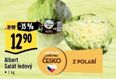 Salát ledový Albert