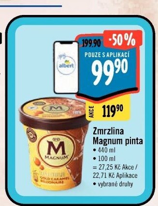 Zmrzlina v kelímku Magnum Algida