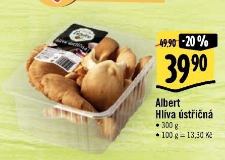 Hlíva ústřičná Albert