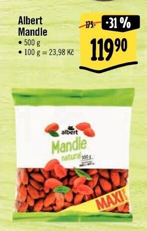 Mandle Albert