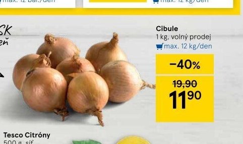Cibule