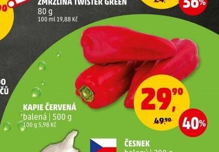 KAPIE ČERVENÁ