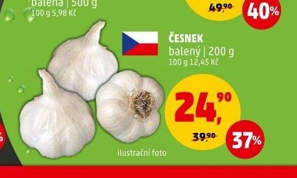 ČESNEK
