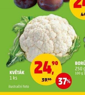 KVĚTÁK