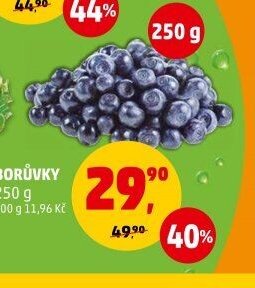 BORŮVKY