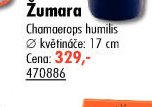 Žumara - UNI HOBBY akcniletaky.com
