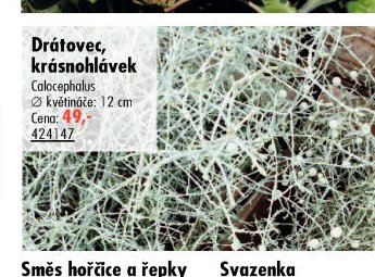 Drátovec, krásnohlávek - UNI HOBBY akcniletaky.com