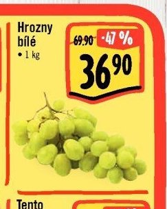 Hrozny bílé