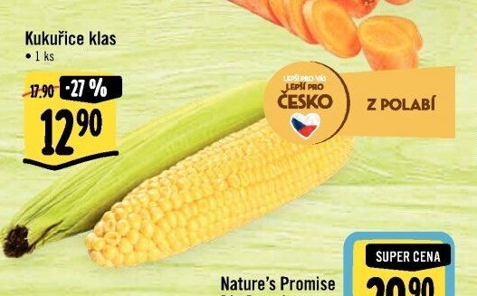 Kukuřice klas