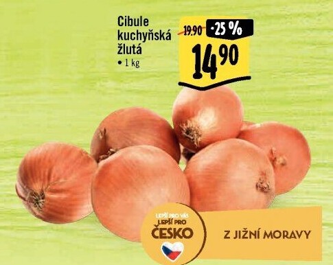 Cibule kuchyňská žlutá