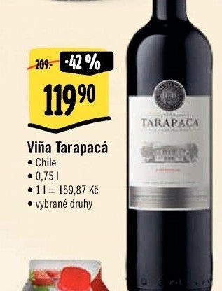 Vína Viňa Tarapaca