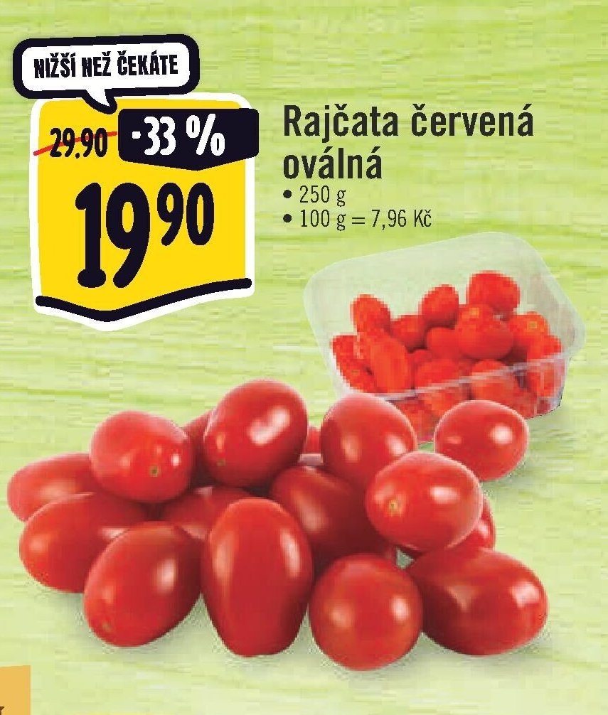 Rajčata červená oválná