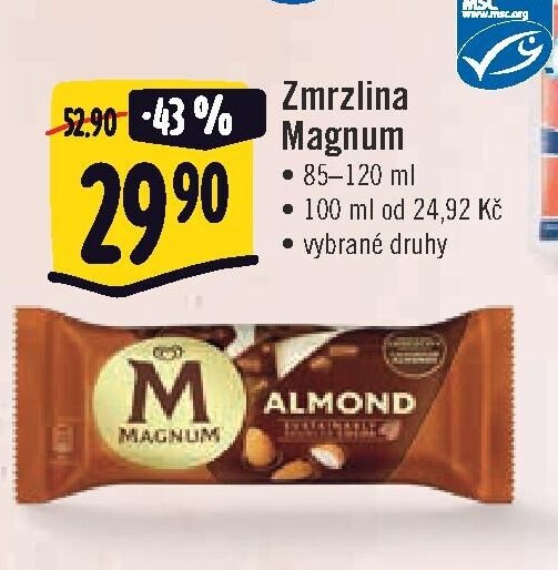 Zmrzlina Magnum