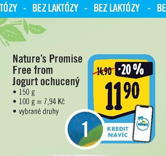 Nature's Promise Free from Jogurt ochucený