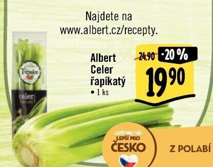 Celer řapíkatý Albert