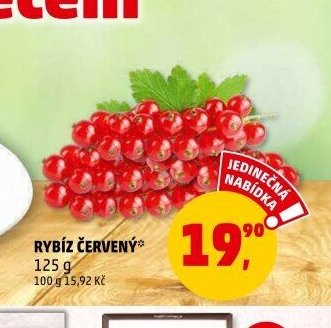 RYBÍZ ČERVENÝ