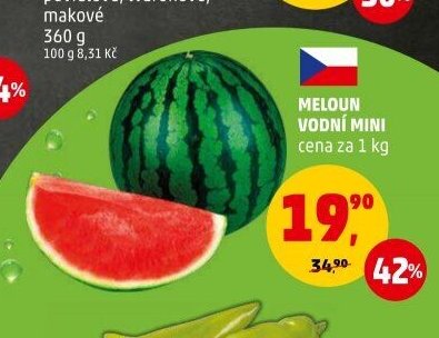 MELOUN VODNÍ MINI