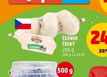 Česnek český