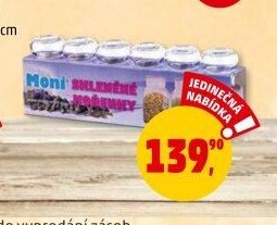 Sada kořenek
