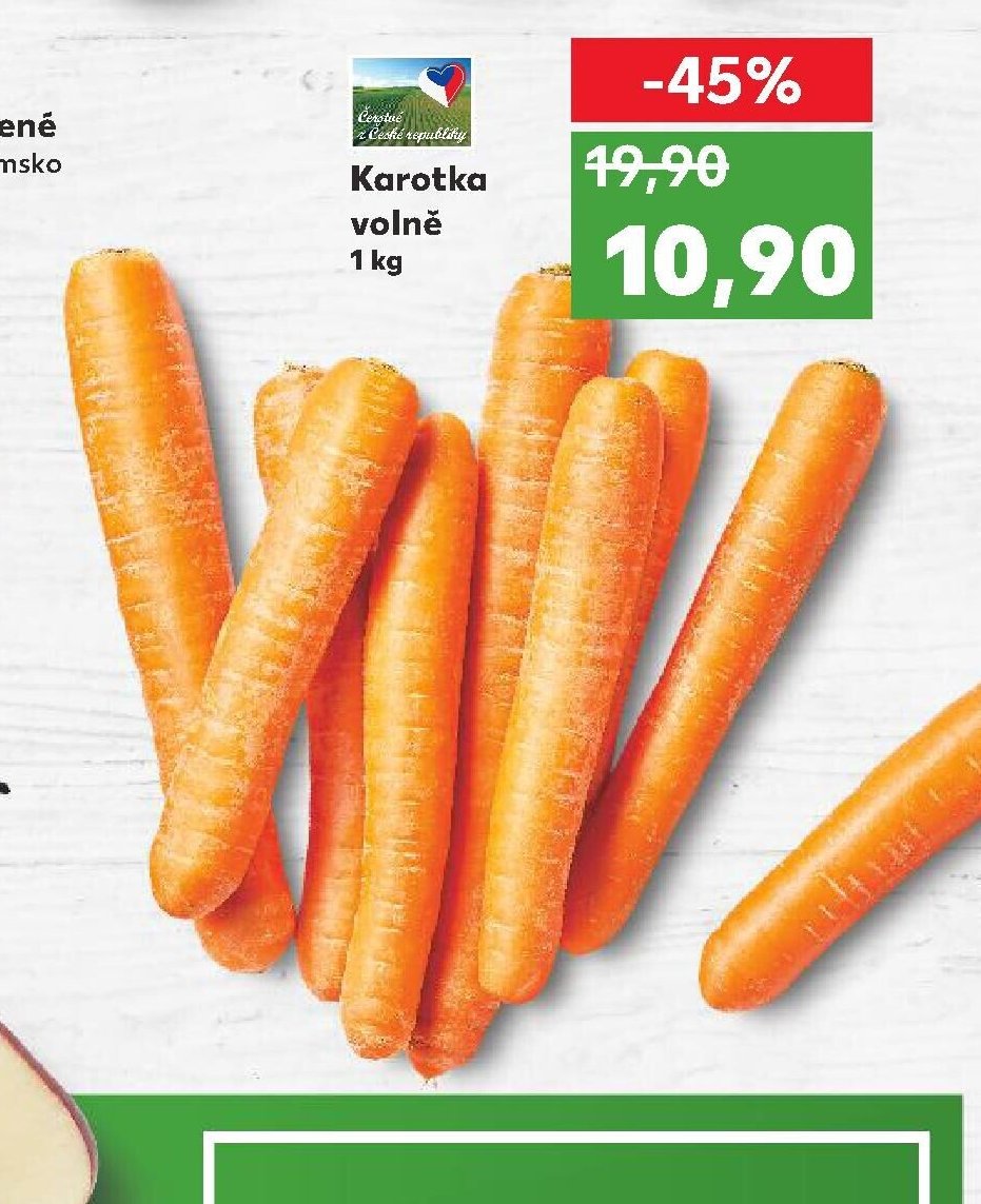 Karotka volně
